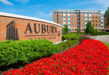 Trả lời cho câu hỏi: Bạn muốn chuyển tiếp từ cao đẳng, đại học Việt Nam lên đại học Mỹ?