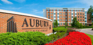 Trả lời cho câu hỏi: Bạn muốn chuyển tiếp từ cao đẳng, đại học Việt Nam lên đại học Mỹ?