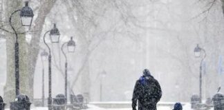 Một em bé sơ sinh mắc Covid-19 với lượng virus cao gấp 51.148 lần bình thường và mang một biến thể bí ẩn