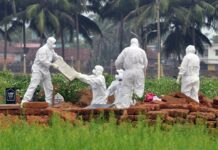 Cảnh báo: Virus từ dơi gây phù não có thể là đại dịch tiếp theo