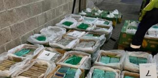 Cảnh sát Anh phá vụ án ma túy trị giá 184 triệu bảng