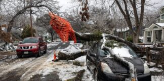 Người dân Texas chết ở sân sau, trong ôtô, thậm chí trên giường ngủ